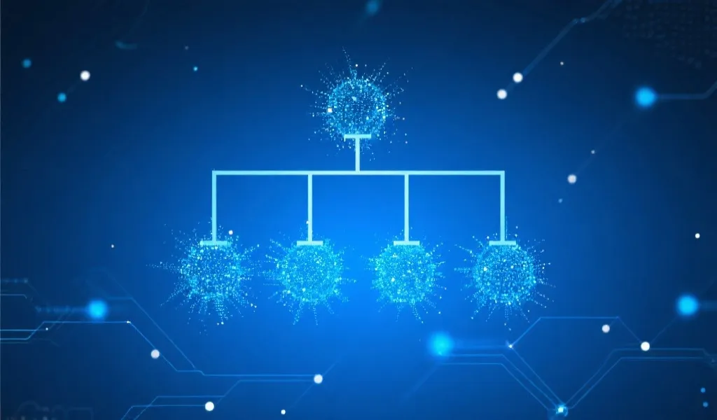 澳洲幸运5开奖计划全解：信息结构、数据安全与用户体验的深度剖析